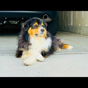 Meet your Posher, Leslie